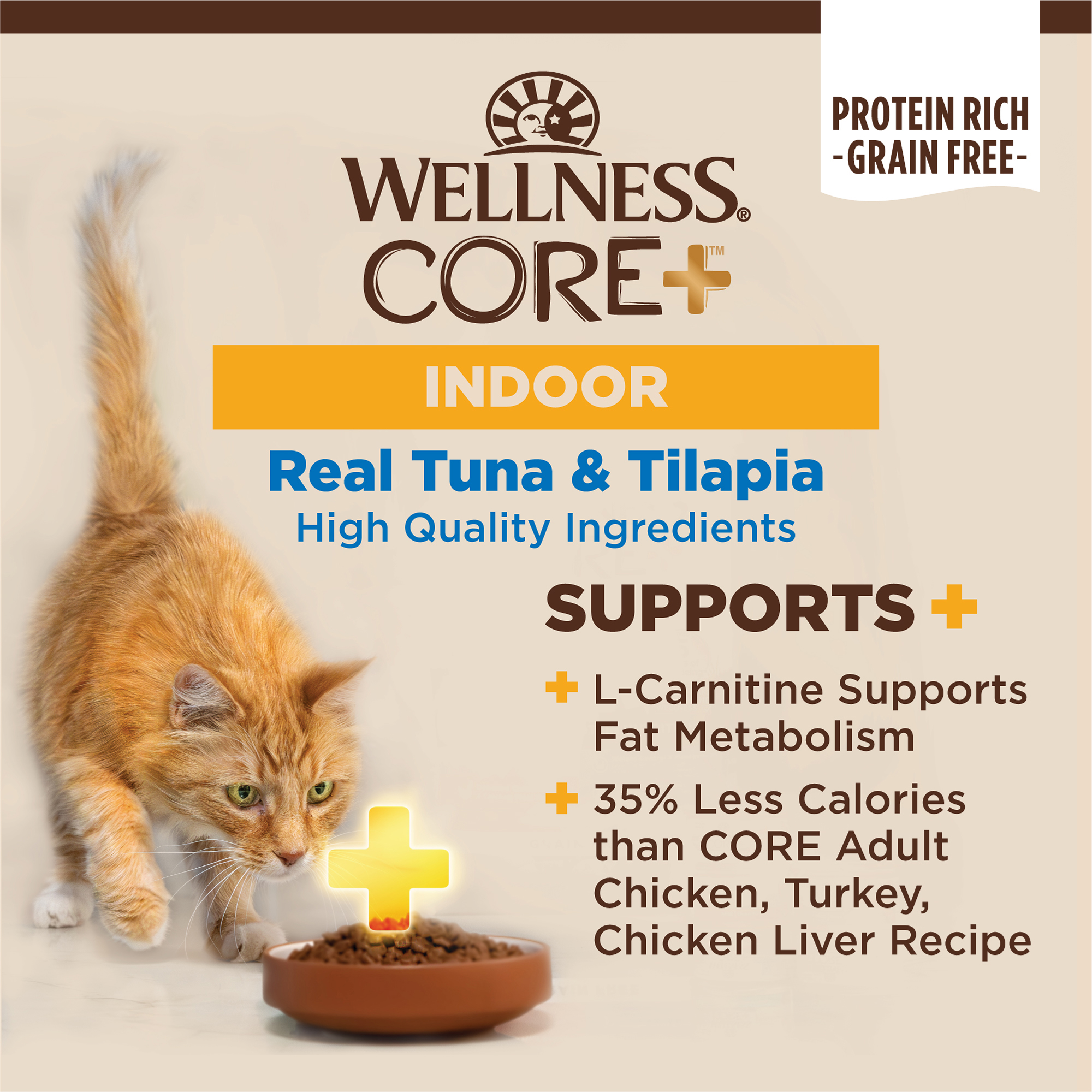 Wellness CORE+ Indoor Tuna & Tilapia