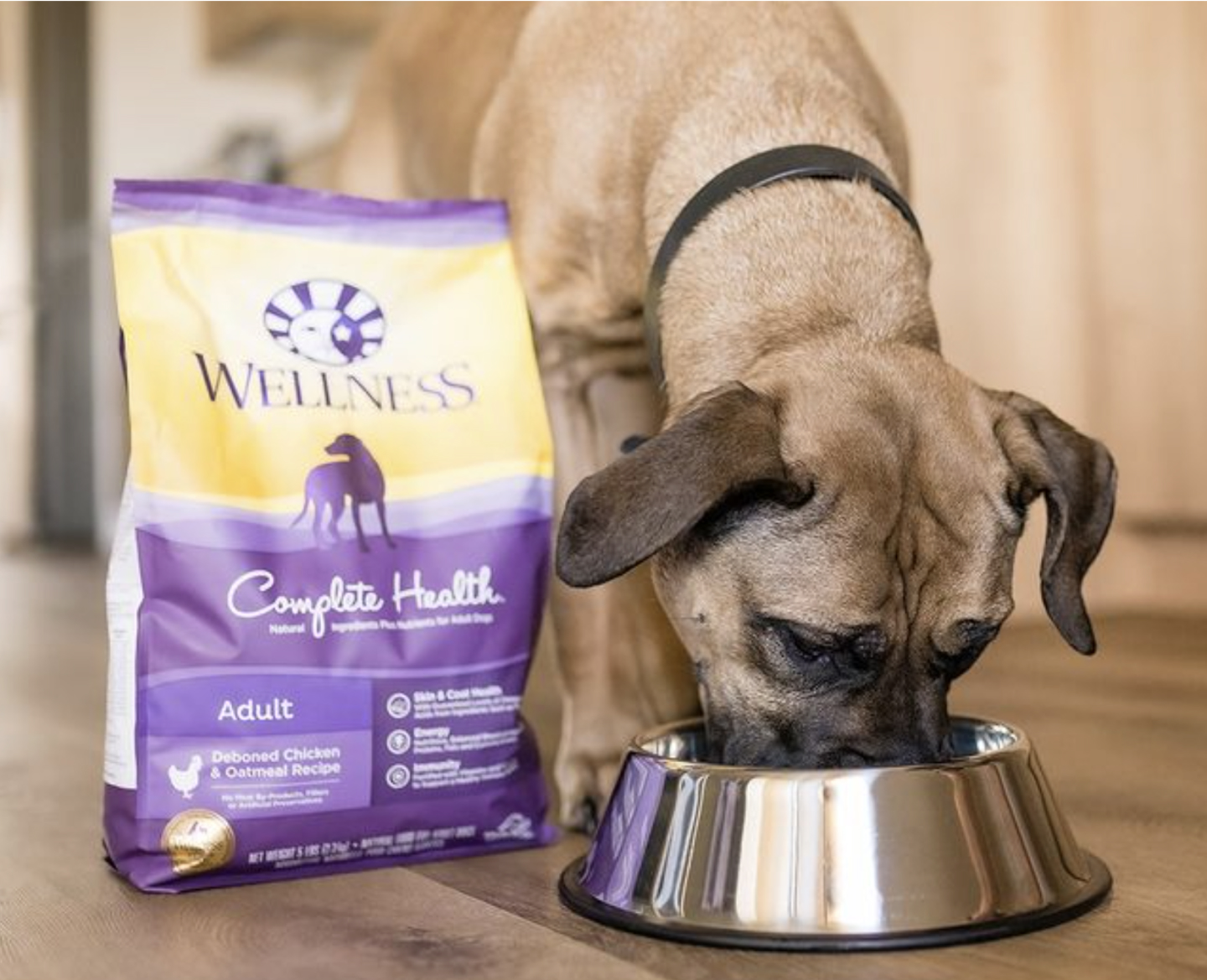 Wellness®️ dry dog food is crafted with high-quality ingredients scientifically proven to support the 5 Signs of Wellbeing.