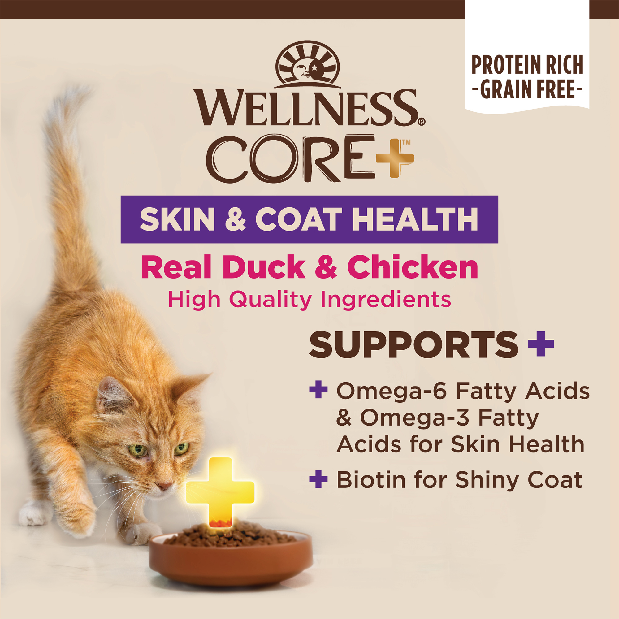 Wellness CORE+ Skin & Coat Duck & Chicken