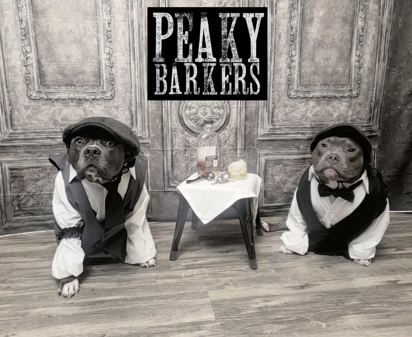 peaky barkers