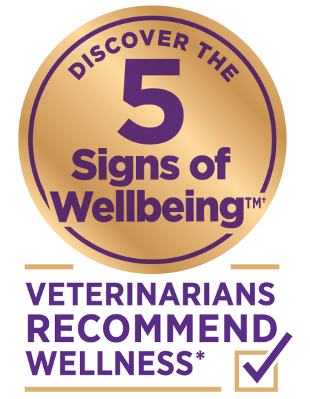 Discover the 5 signs of Wellbeing - Veterinarians Recommended Wellness dry dog food, wet dog food, dry cat food, west cat food.